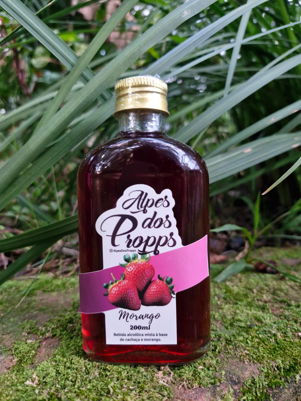Licor Artesanal de Morango